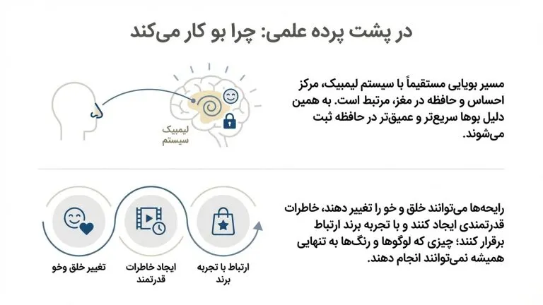پشت پرده ی غلمی انتخاب مناسب ترین رایحه